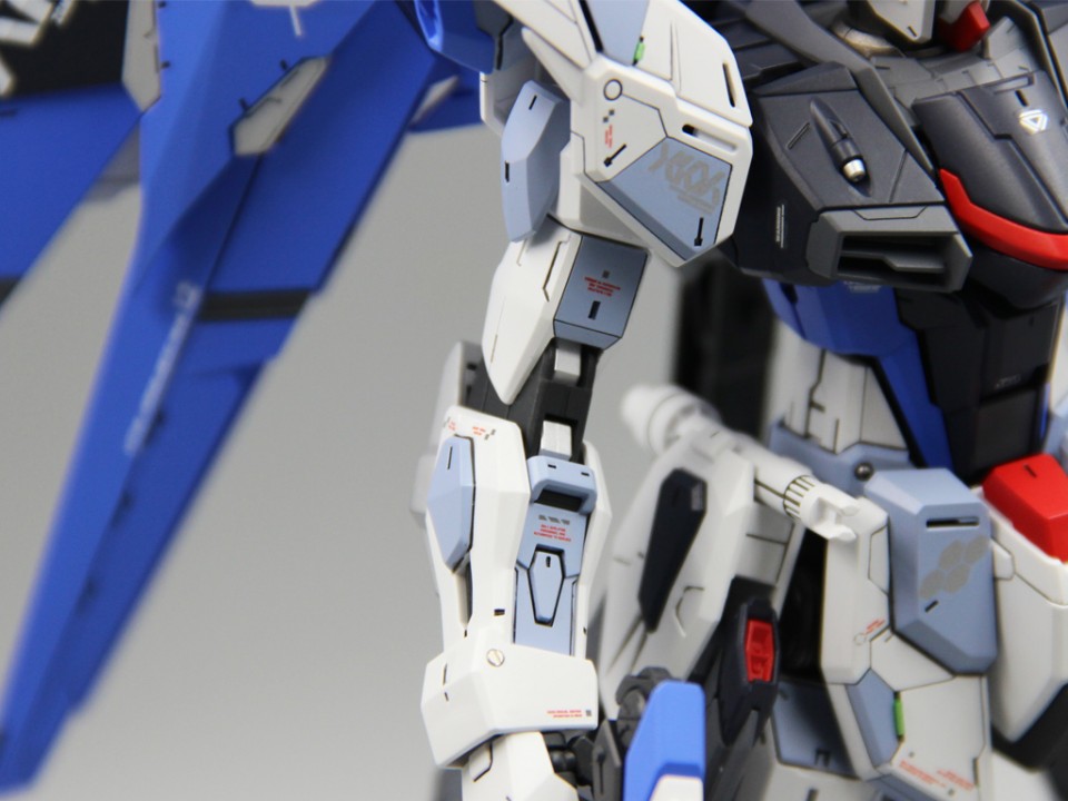 Custom Build: MG 1/100 ZGMF-X10A Freedom Gundam ver. 2.0 by tchebin