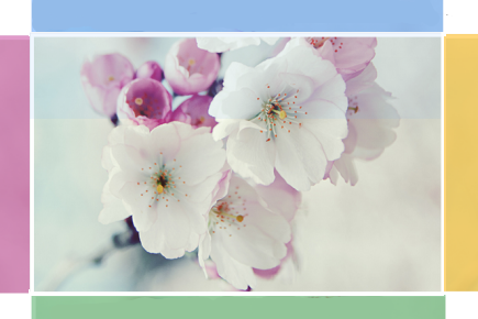 hover effect, mouseover, blogger hover effects