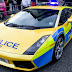 World's Top Police Cars