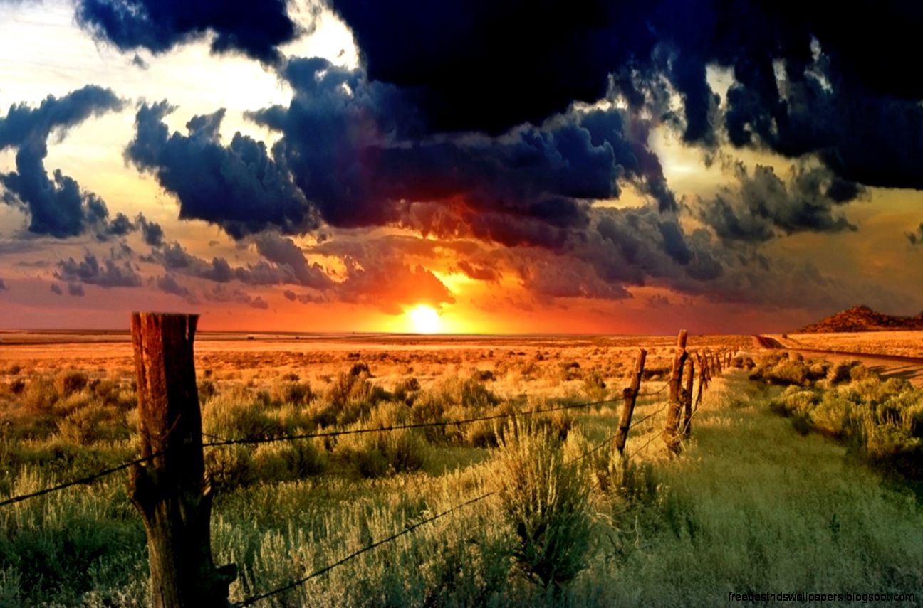 Nature Scene Wallpaper   Nature Desktop Wallpaper