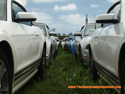 car graveyard hawaii kauai rental cars mustang camaro jeep dylan benson random automotive