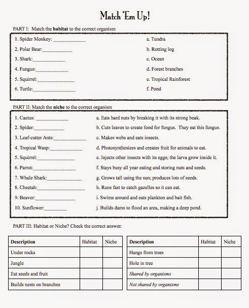 Habitats And Niches Worksheet Answer Key