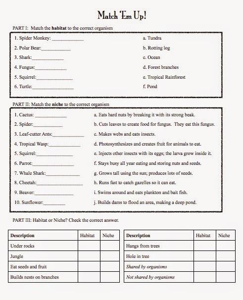 Teaching the Kid: Habitats & Niches