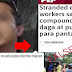 Netizen slams PEP.PH for article claiming stranded constructions workers in UP Diliman resorted to eating rats and stray cats to fight hunger? | PTN