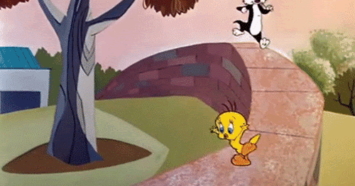 Whole-imagen: Silvestre persiguiendo a Piolin