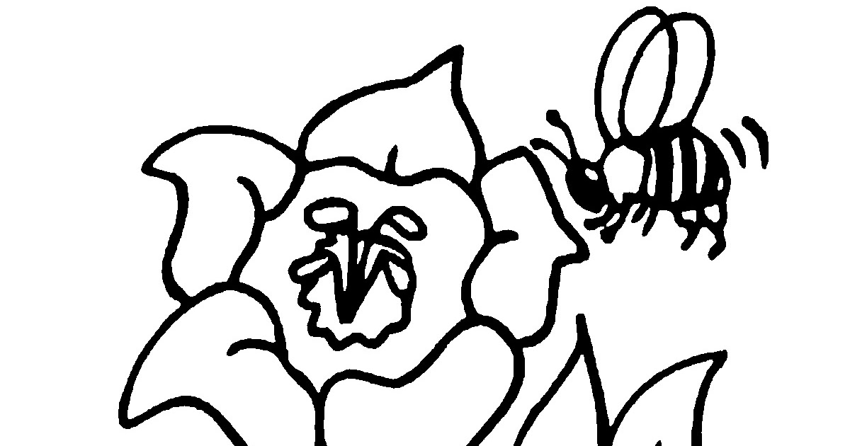 gambar mewarnai binatang lebah menyimpan madu