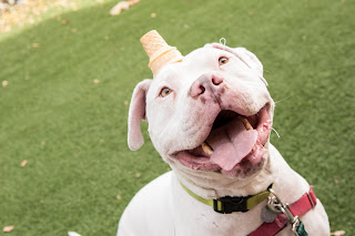 Frosty with an ice cream cone on head