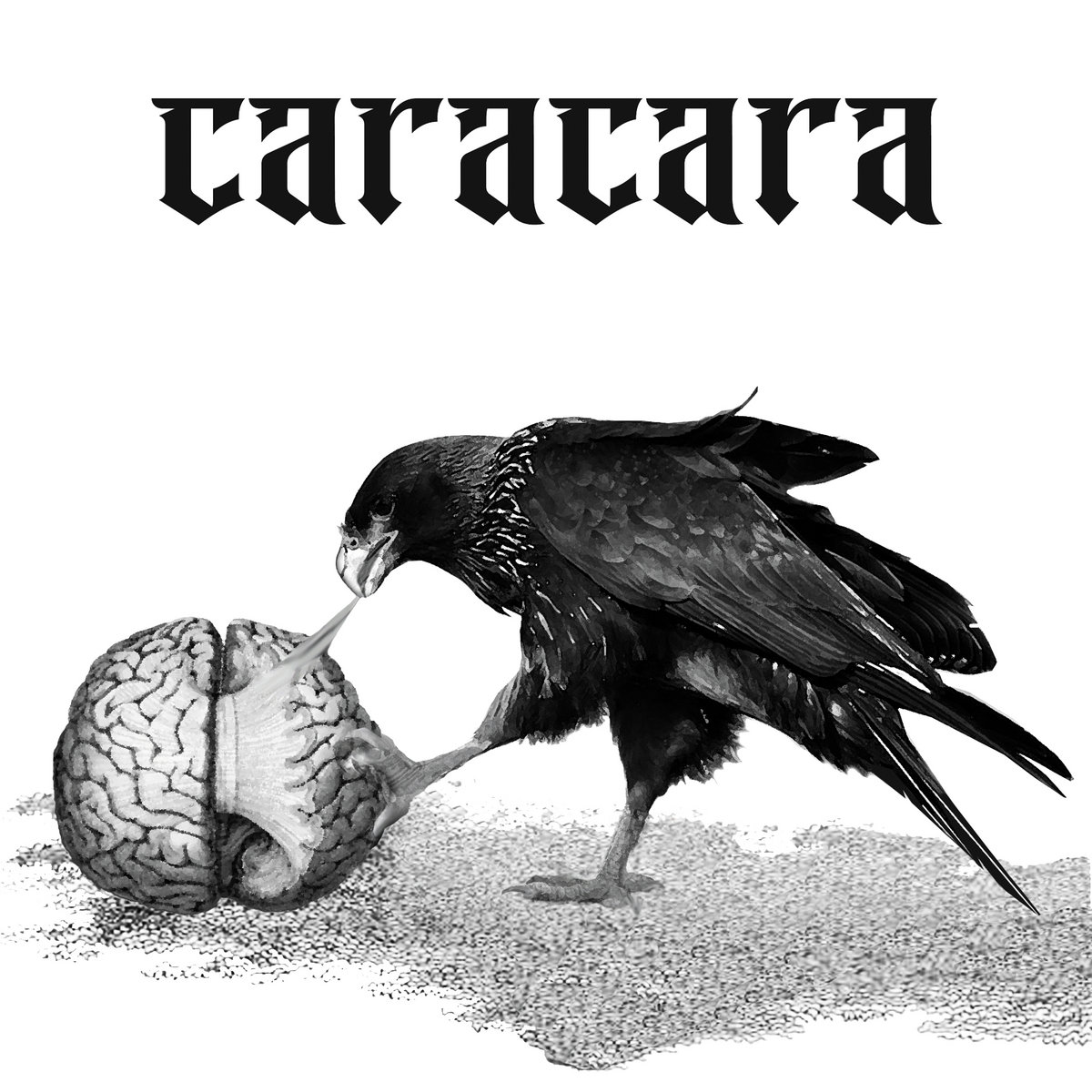 Caracara - "Vagrant Witness Cantos" - 2022