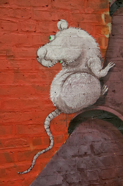 New Street Art Mural By Italian Artist ZED1 In Brooklyn, New York City. 7