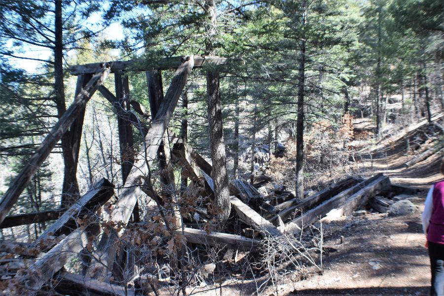 High Tide And Green Grass Cloudcroft, New Mexico Elevation 8700 Feet