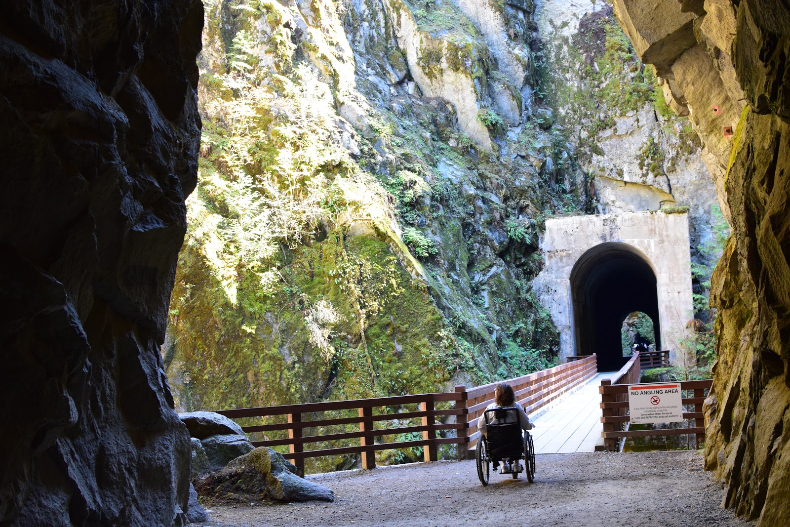 Wheelchair Wandering Accessible trails