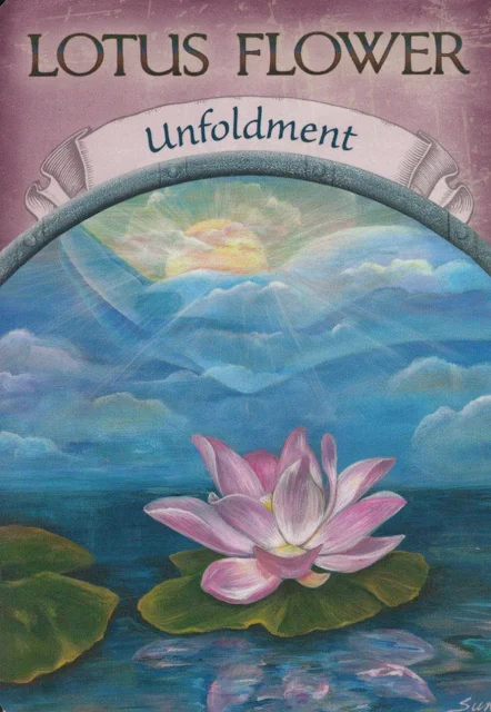 Earth Magic Oracle Cards by Stephen D Farmer - Lotus Flower - Unfoldment.
