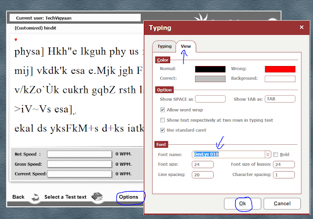 GS Typing Tutor 299.0713 serial key or number
