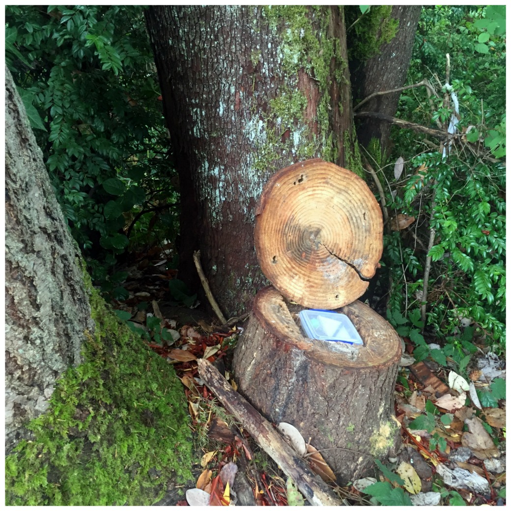 Getting The Best Of Your Pokemon Go Journey Wazzup Pilipinas