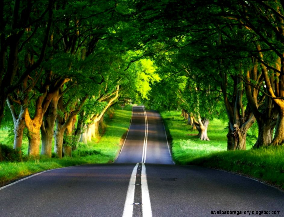 1000 images about Background Wallpaper HD 1080p on Pinterest  3d