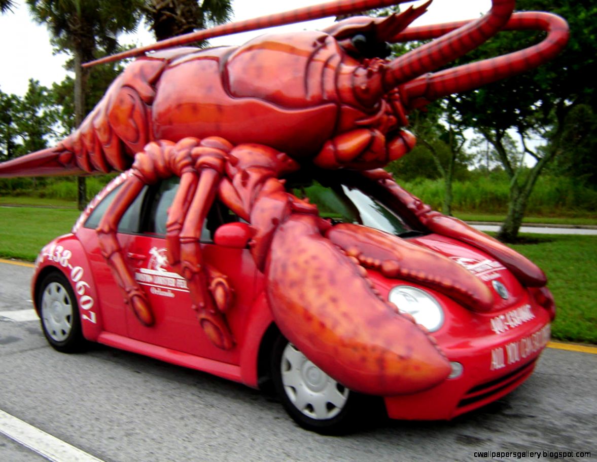 Funny Car Wallpapers Gallery funny-car-wallpapers-gallery
