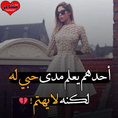 17342519_19486045587