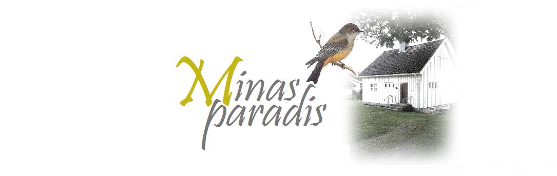 Minas Paradis