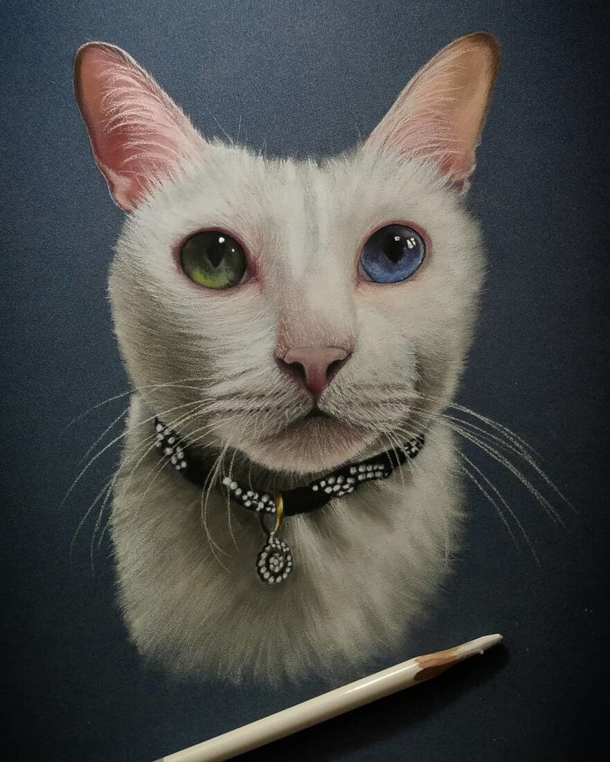 09-Cat-Heterochromia Iridis-Rene-Lopez-Animal-Pencil-and-Pastel-Portrait-Drawings-www-designstack-co