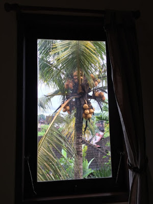 窓から椰子の木