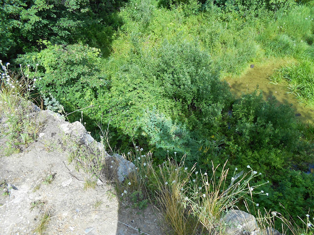 Вид с плотины на Дехановом пруду