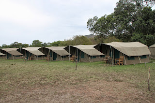 Viaje al Masai Mara - Mi Gran Safari 2013 (3)