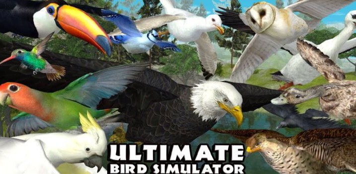 ultimate bird simulator free download ultimate bird simulator free download