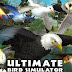 Ultimate Bird Simulator v1.2 Apk Download
