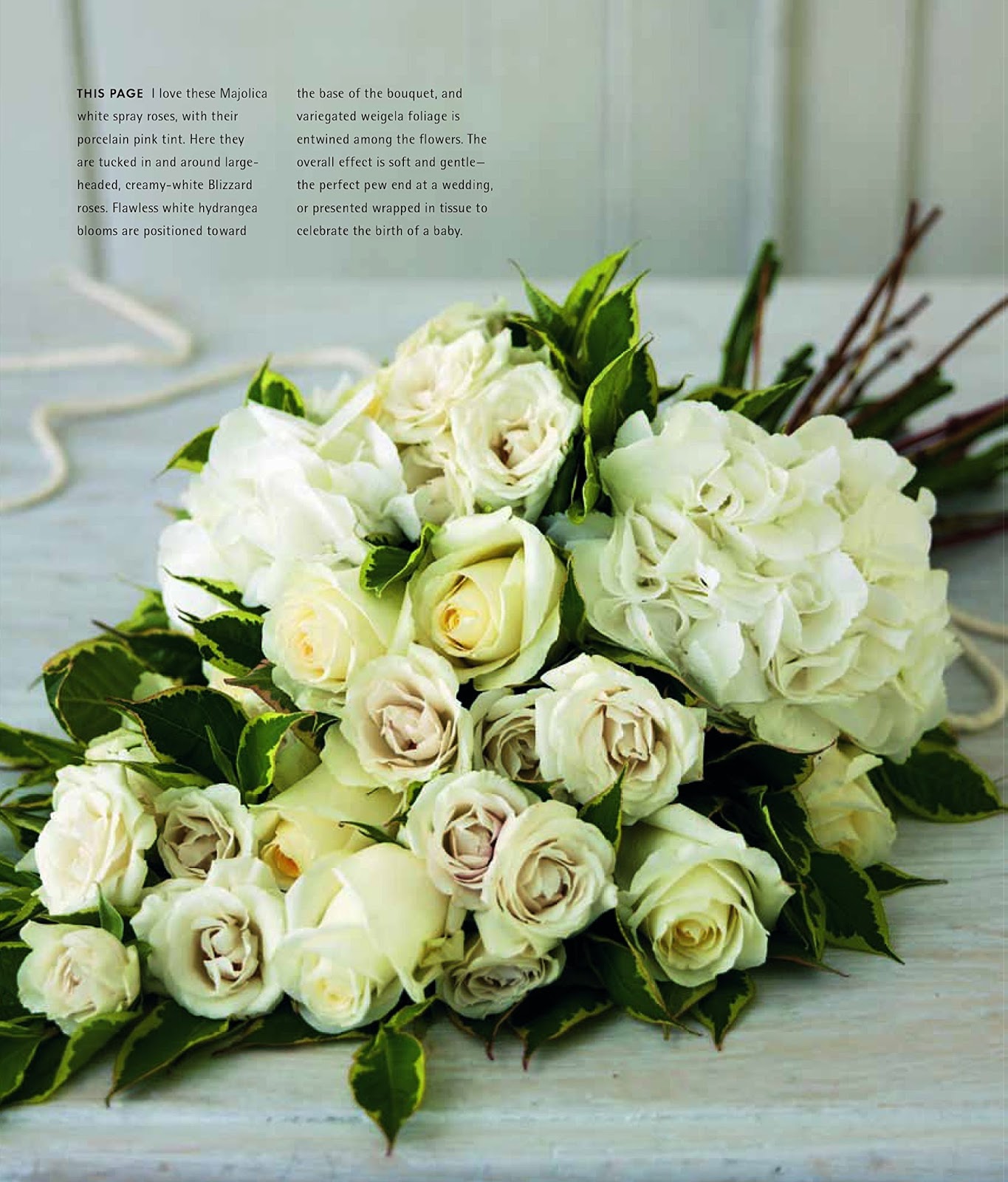 Color Outside the Lines Book Review Jane Packer's Flower Course