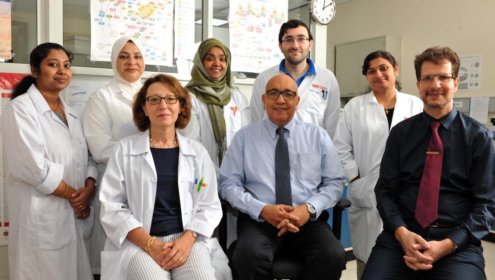 Apitherapy News Research on Honey as AntiCancer Agent