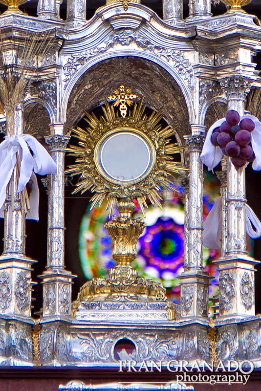 http://franciscogranadopatero35.blogspot.com/2014/07/arahal-volcado-con-jesus-sacramentado.html