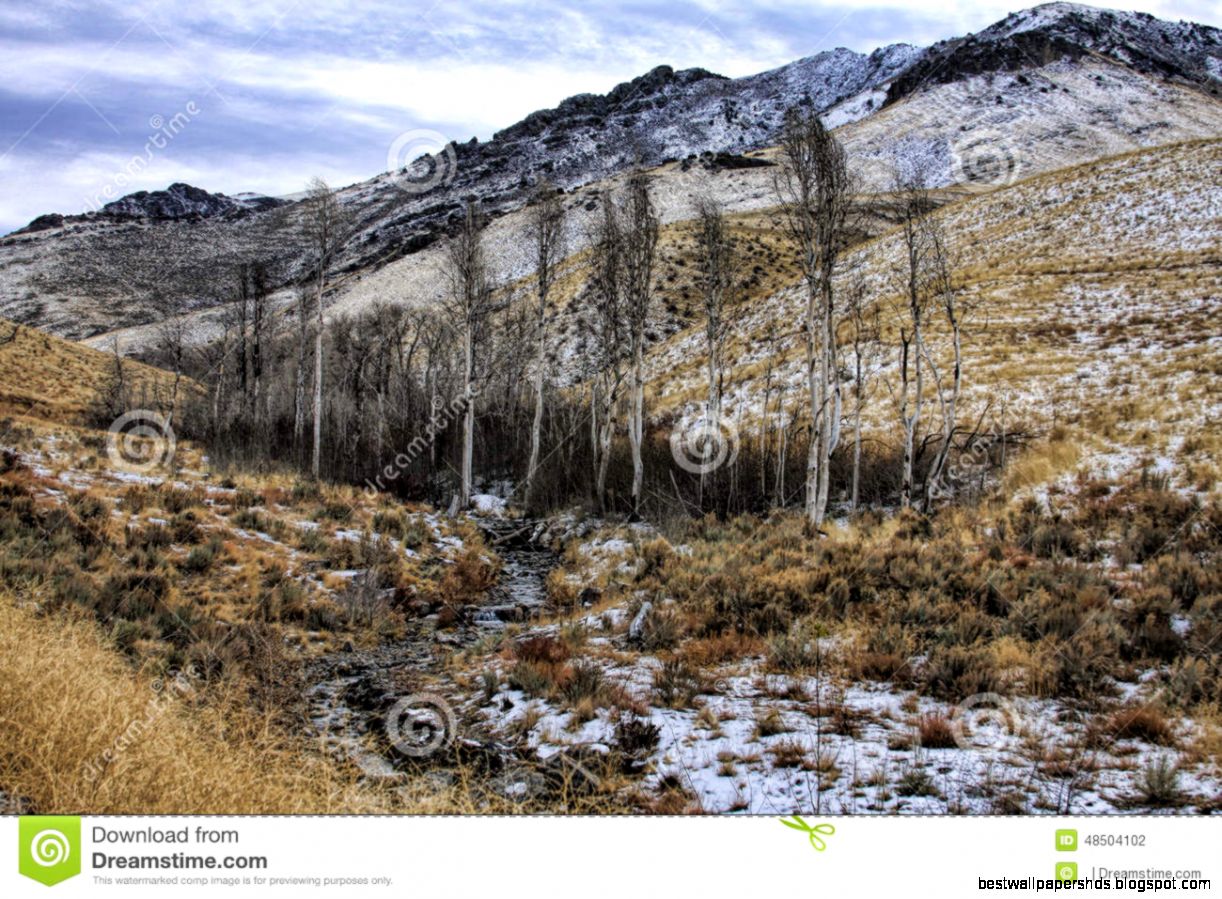 Winnemucca NV Water Canyon Recreation Area
