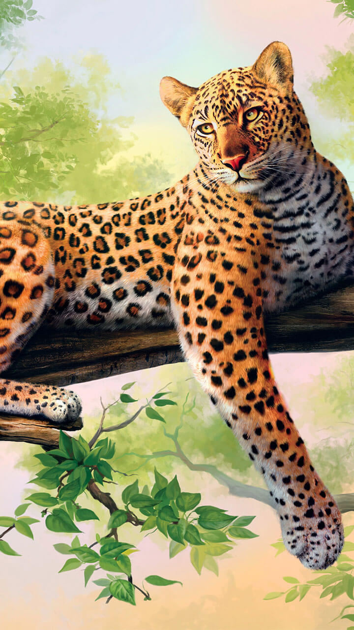 Happy APPS Zoo Live Wallpaper