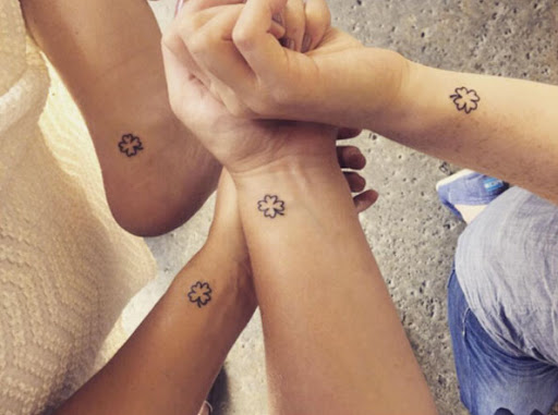 Estes pequenos trevos de quatro folhas