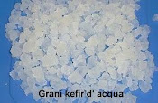 ACQUISTA QUI IL KEFIR D'ACQUA