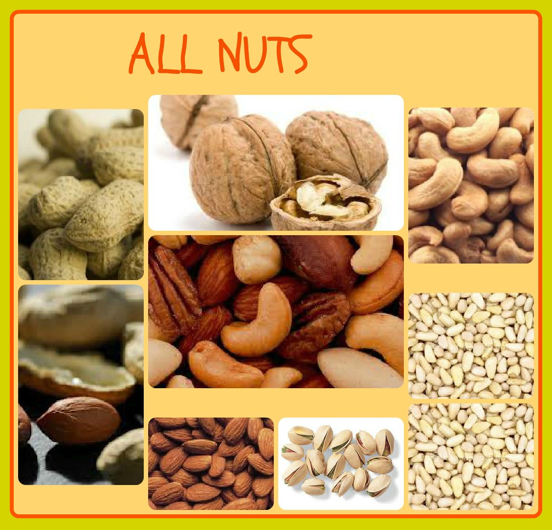 USHA'S KITCHEN IN A NUT SHELL