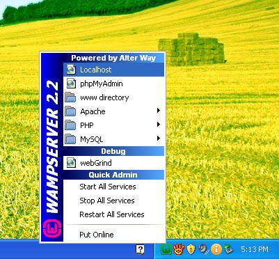 Wamp Server Tutorials: Setting Root Password for SQL Server