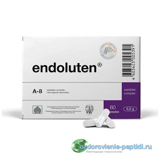  Эндолутен — пептид эпифиза