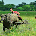 Federalism to give regions power to solve own agri woes: DILG