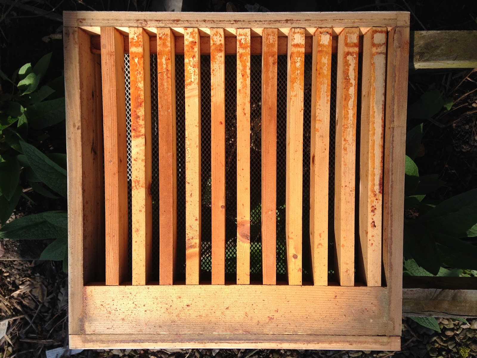 TrogTrogBee The slatted rack revisited