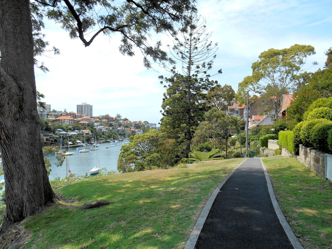 Cremorne Point Walk Our Walks