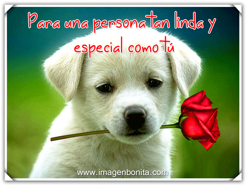 Https Encrypted Tbn0 Gstatic Com Images Q Tbn 3aand9gcrp5hvbpuqjhtgxy6j387cbgcg70rnesdorva Usqp Cau