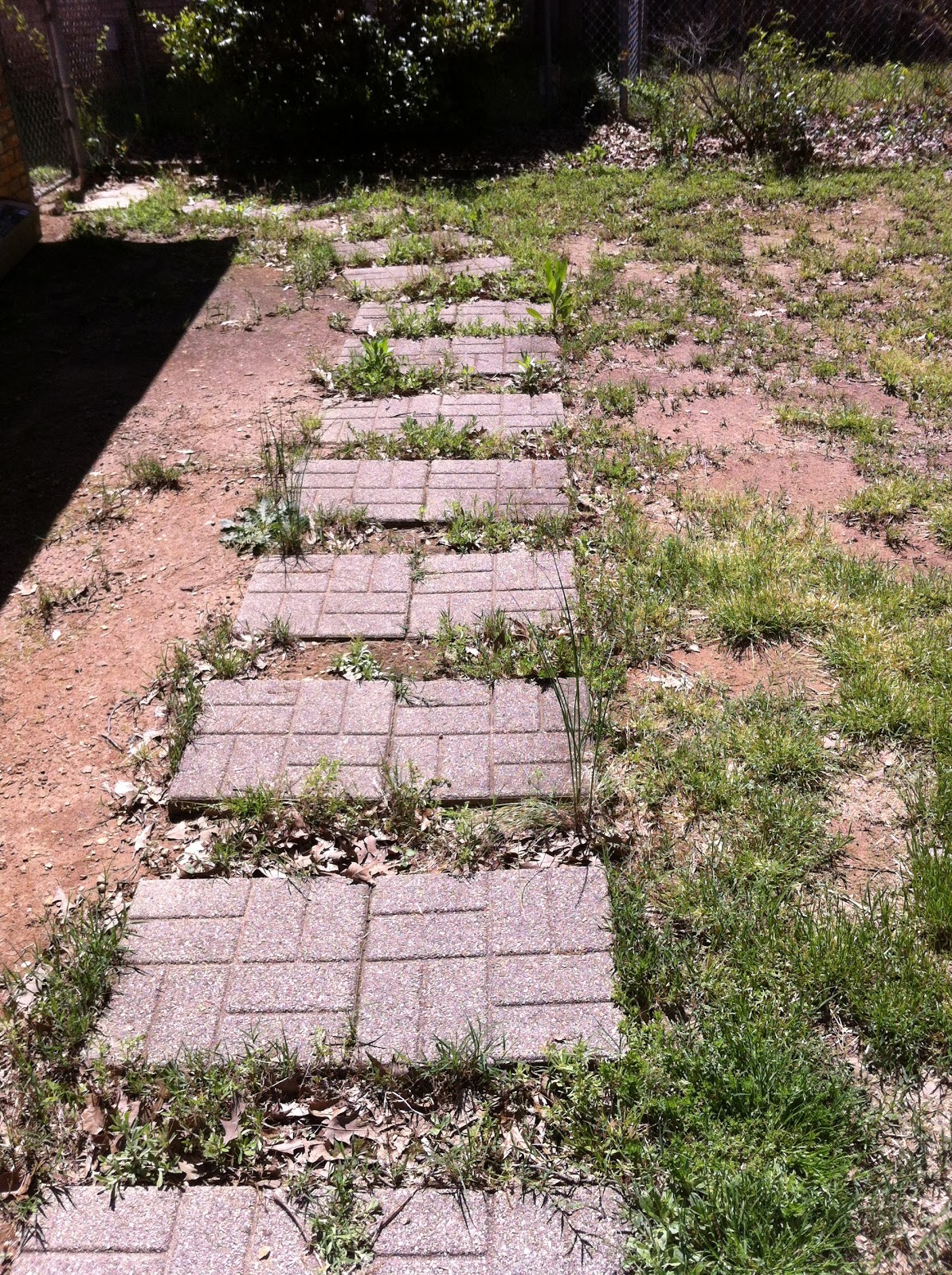 The Gayla Pink Apple : My Little Brick Road...