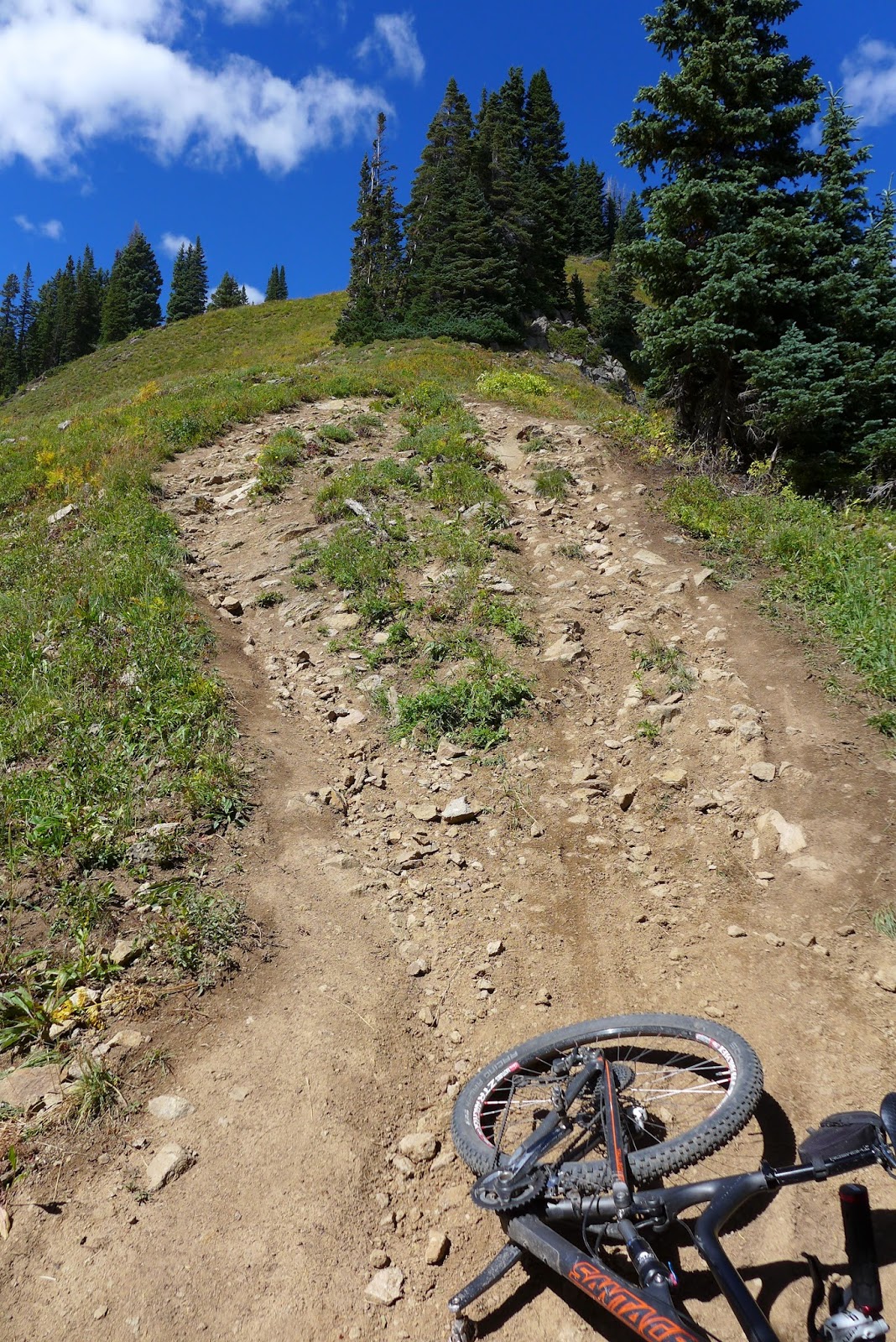 Hill Junkie: Crested Butte Lupine-403-401-Tony's Loop