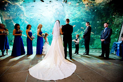 aquarium weddings wedding seattle waterfront night water