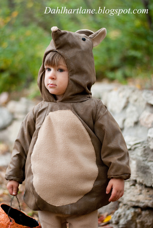 Dahlhart Lane Armadillo Costume