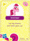 My Little Pony Wave 5 Skywishes Blind Bag Card