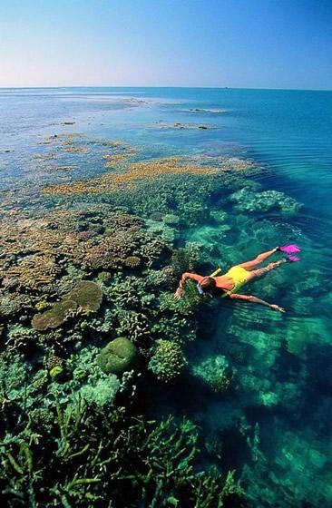Snorkeling Great Barrier Reef, Australia Snorkeling Great Barrier Reef, Australia