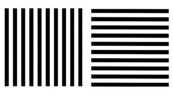 Estudio de Helmholtz: dos series de líneas paralelas que encajan en el mismo cuadrado.