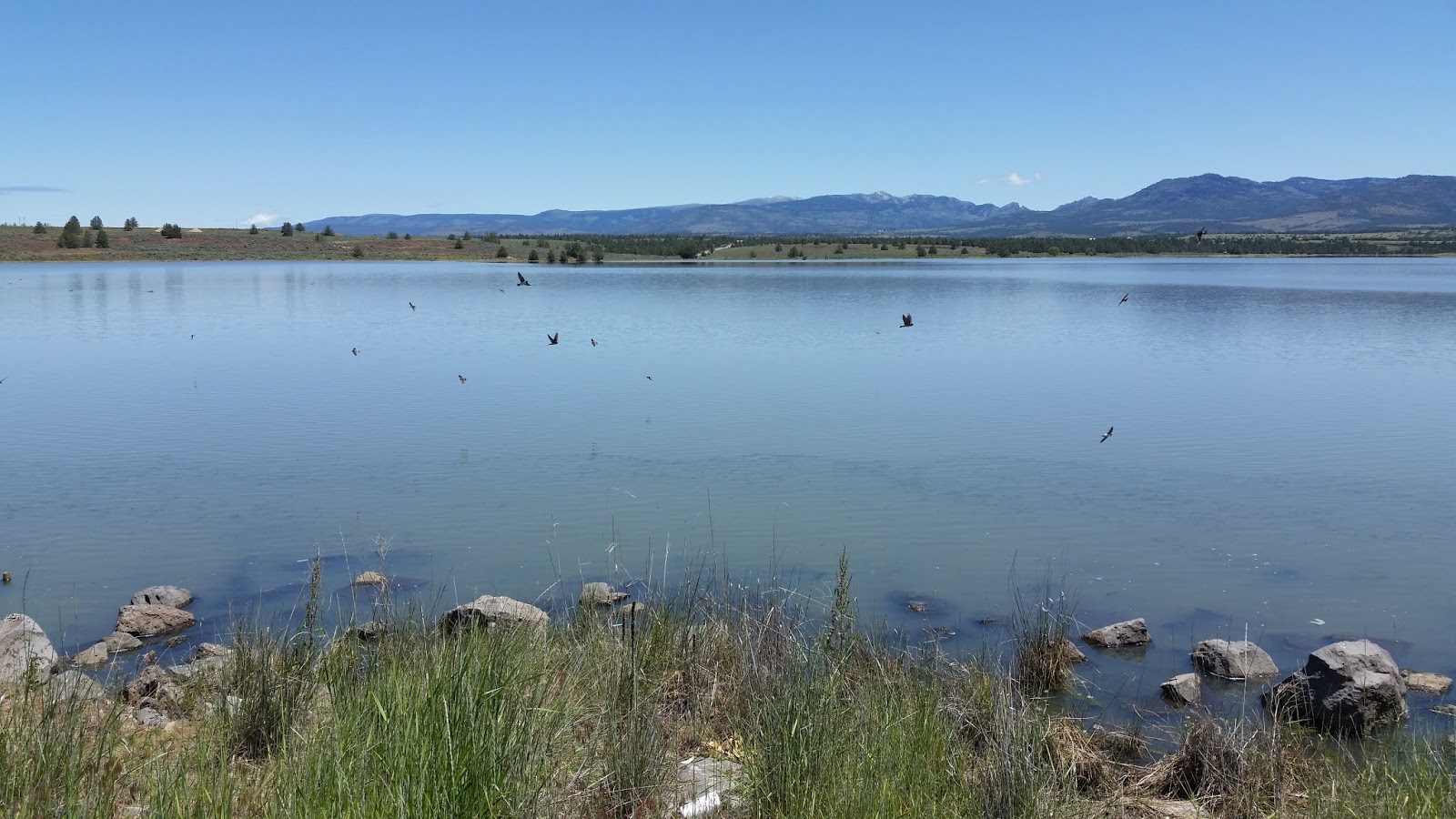 Wes' Travels to California Lakes Dorris Reservoir Modoc County